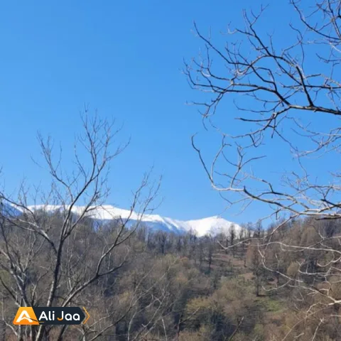 ویلا جنگلی مهرداد — عکس ۱۲