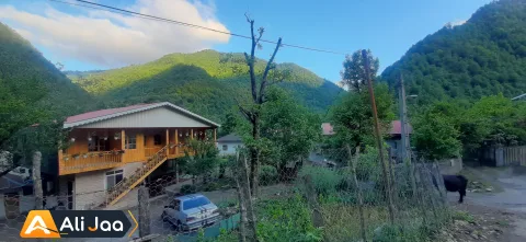 چوبی گل تاج — عکس ۳
