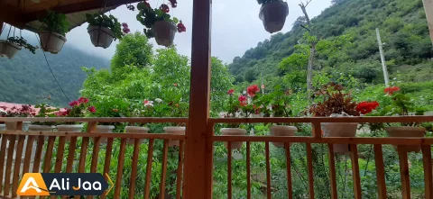 چوبی گل تاج — عکس ۴