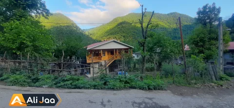 چوبی گل تاج — عکس ۵