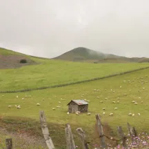 Stays in Masal